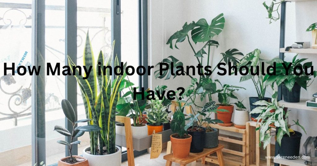 How many snake plants should be in a bedroom