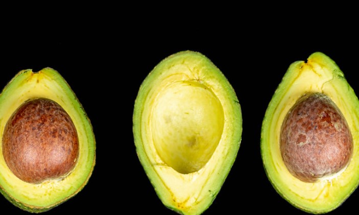 How to plant an avocado seed in water