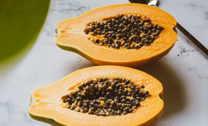 top 10 health benefits of papaya